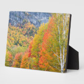 秋イングラフトンノッチ州パーク，メイン フォトプラーク (側面)