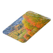 秋イングラフトンノッチ州パーク，メイン マグネット (左側)