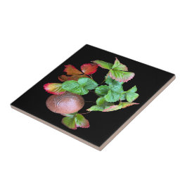 秋インストロベリーシーズンバックヤードガーデンフォト タイル