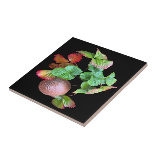 秋インストロベリーシーズンバックヤードガーデンフォト タイル (側面)