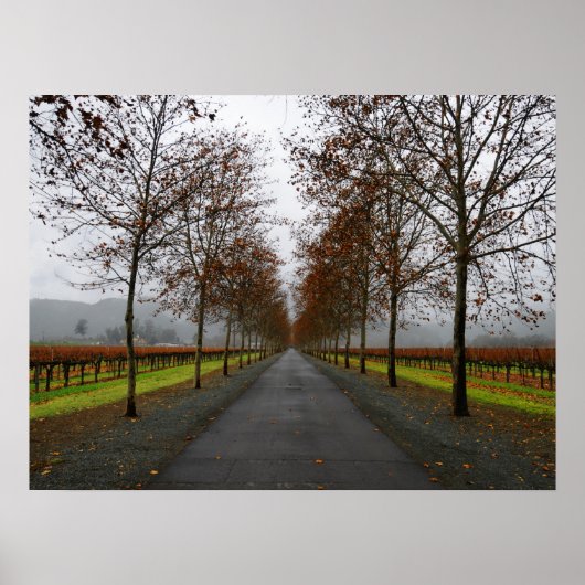 秋インセントヘレナ ポスター (正面)