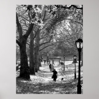 秋インセントラルパーク06 25 ポスター