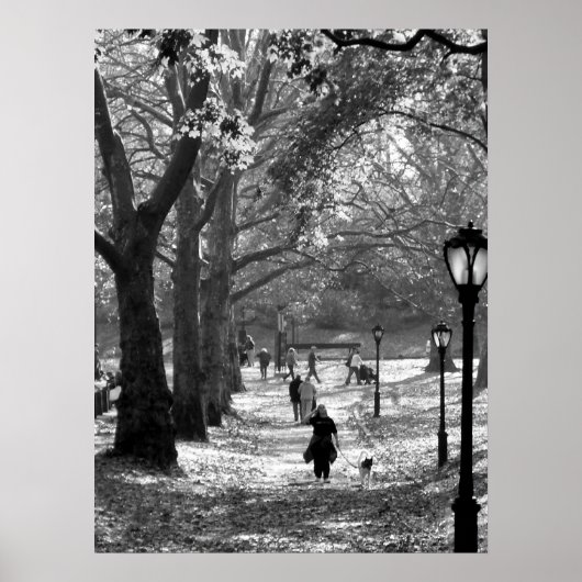 秋インセントラルパーク06 25 ポスター (正面)