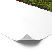 秋インセントラルパークNYC写真ポスター ポスター (角)