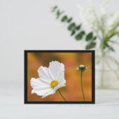 秋インノースコンウェイニューハンプシャー ポストカード (スタンド正面)