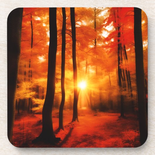 秋インバックウッズ コースター (正面)