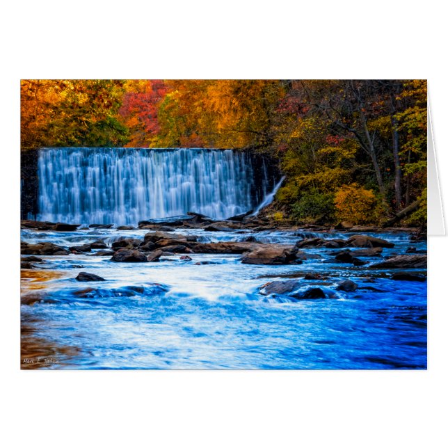 秋インビューティフルロズウェルグルジア (正面横)