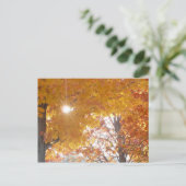 秋インモントリオール ポストカード (スタンド正面)