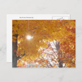 秋インモントリオール ポストカード (正面/裏面)