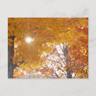 秋インモントリオール ポストカード