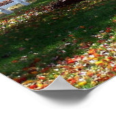 秋インVirginia秋の葉の木の葉写真 ポスター (角)