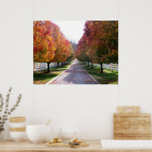 秋インVirginia秋の葉の木の葉写真 ポスター (キッチン)