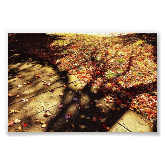 秋ウォーク フォトプリント            (正面)