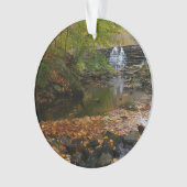 秋ウォーターフォールアンドクリークペンシルバニア自然 オーナメント (正面)