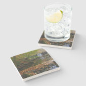 秋ウォーターフォールアンドクリークペンシルバニア自然 ストーンコースター (横)