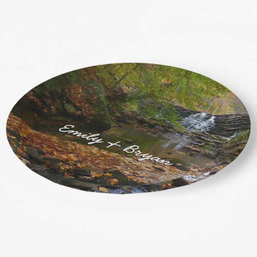 秋ウォーターフォールアンドクリークペンシルバニア自然 ペーパープレート (アングル)