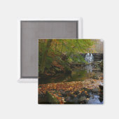 秋ウォーターフォールアンドクリークペンシルバニア自然 マグネット (正面/裏面)