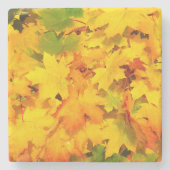 秋エスケープストーンコースター ストーンコースター (正面)