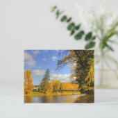 秋オンケトル ポストカード (スタンド正面)