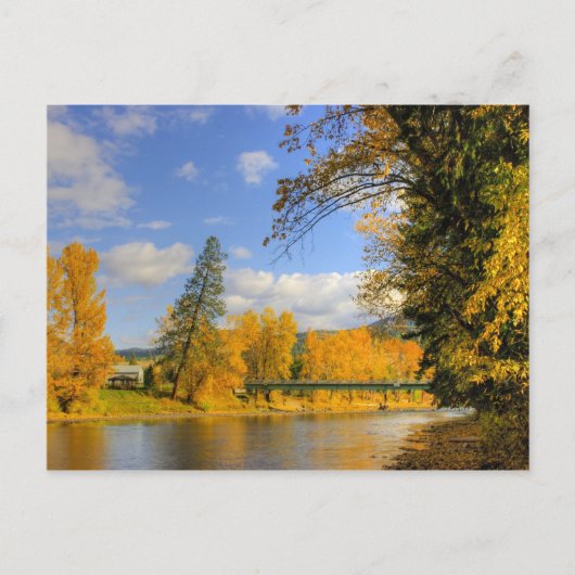 秋オンケトル ポストカード (正面)