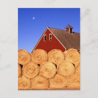 秋オンファーム ポストカード