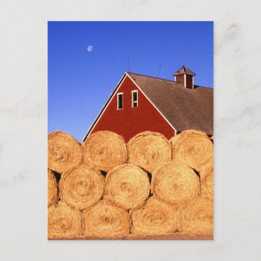 秋オンファーム ポストカード (正面)