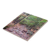 秋オンブルーヒルズ予約レッドドットトレイル タイル (側面)