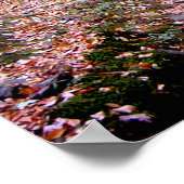 秋オンブルーヒルズ予約レッドドットトレイル ポスター (角)