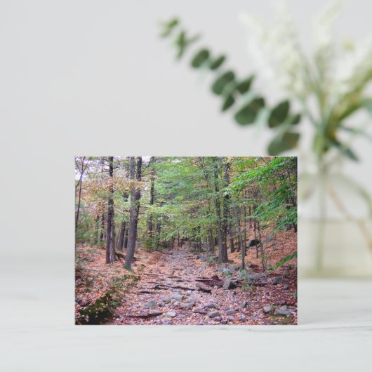 秋オンブルーヒルズ予約レッドドットトレイル ポストカード (スタンド正面)