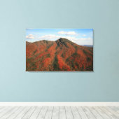 秋オンHawksbill Mountain，ノースカロライナ キャンバスプリント (インサイチュ (ウッドフロア))