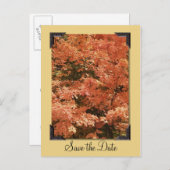 秋オ葉レンジの結婚式の日付を保存 案内ポストカード (正面/裏面)