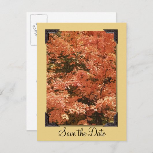 秋オ葉レンジの結婚式の日付を保存 案内ポストカード (正面/裏面)