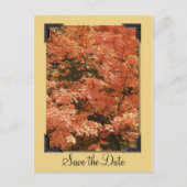 秋オ葉レンジの結婚式の日付を保存 案内ポストカード (正面)