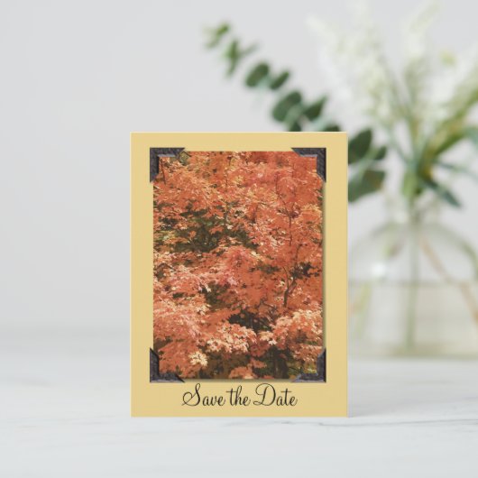 秋オ葉レンジの結婚式の日付を保存 案内ポストカード (スタンド正面)