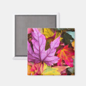 秋カエデ葉リカラフル秋自然 マグネット (正面/裏面)