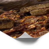 秋カスケードプリント ポスター (角)