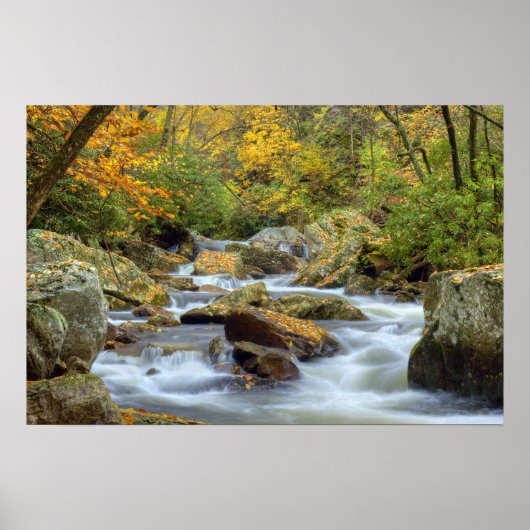 秋カスケードプリント ポスター (正面)