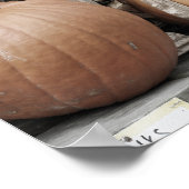 秋カボチャとトウモロコシの茎 ポスター (角)