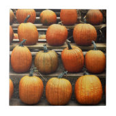 秋カボチャ タイル (正面)