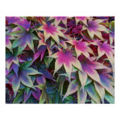 秋カラフルのカエデ葉ル ポスター (正面)