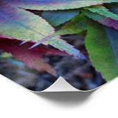 秋カラフルのカエデ葉ル ポスター (コーナー)