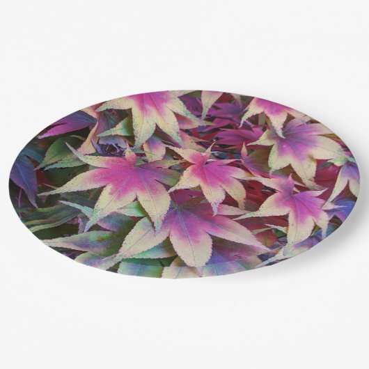 秋カラフルのメープル葉フローラ ペーパープレート (アングル)