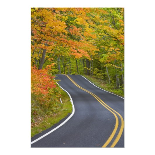 秋カラフルの名勝のカエデの木 フォトプリント            (正面)