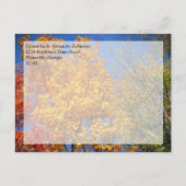 秋カラフルの木が日を守る 案内ポストカード (裏面)