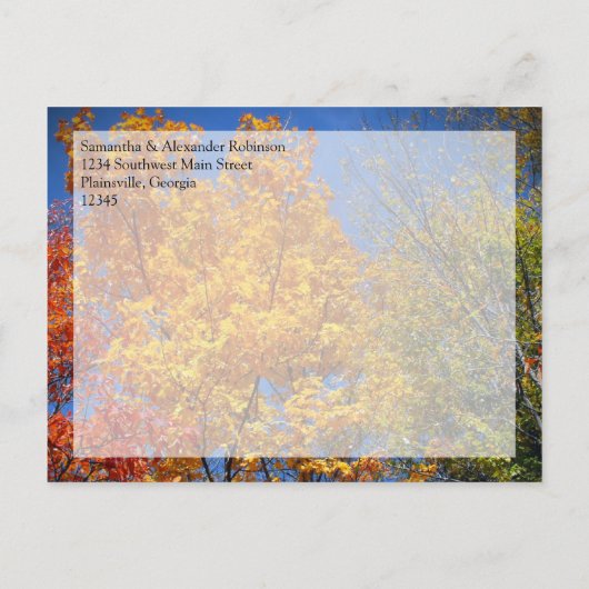 秋カラフルの木が日を守る 案内ポストカード (裏面)