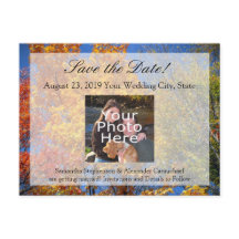 秋カラフルの木が日を守る