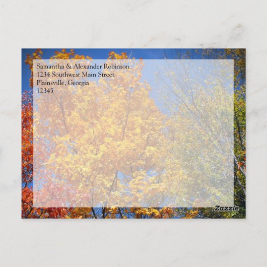 秋カラフルの木秋の結婚式/サンキュー ポストカード (裏面)