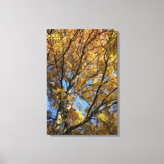 秋カラフルの木 キャンバスプリント (正面)
