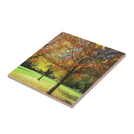 秋カラフルの木 タイル (側面)