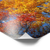 秋カラフルの木 フォトプリント            (角)